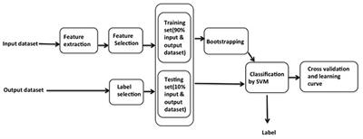Using Support Vector Machine on EEG for Advertisement Impact Assessment